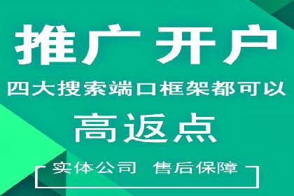 某企业SEM推广全流程解析——从策划到执行的成功案例